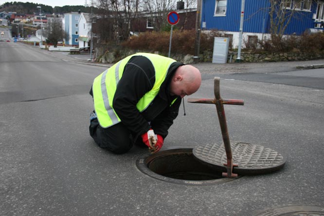 rot_s_kokko rot_s_kokko